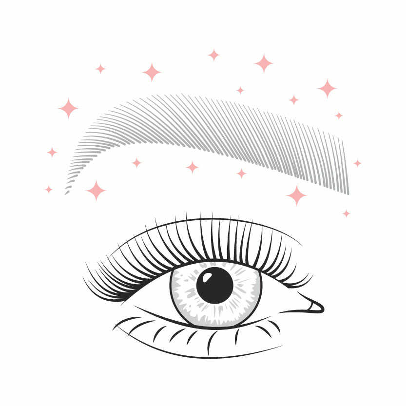 illustration de cils et de sourcils